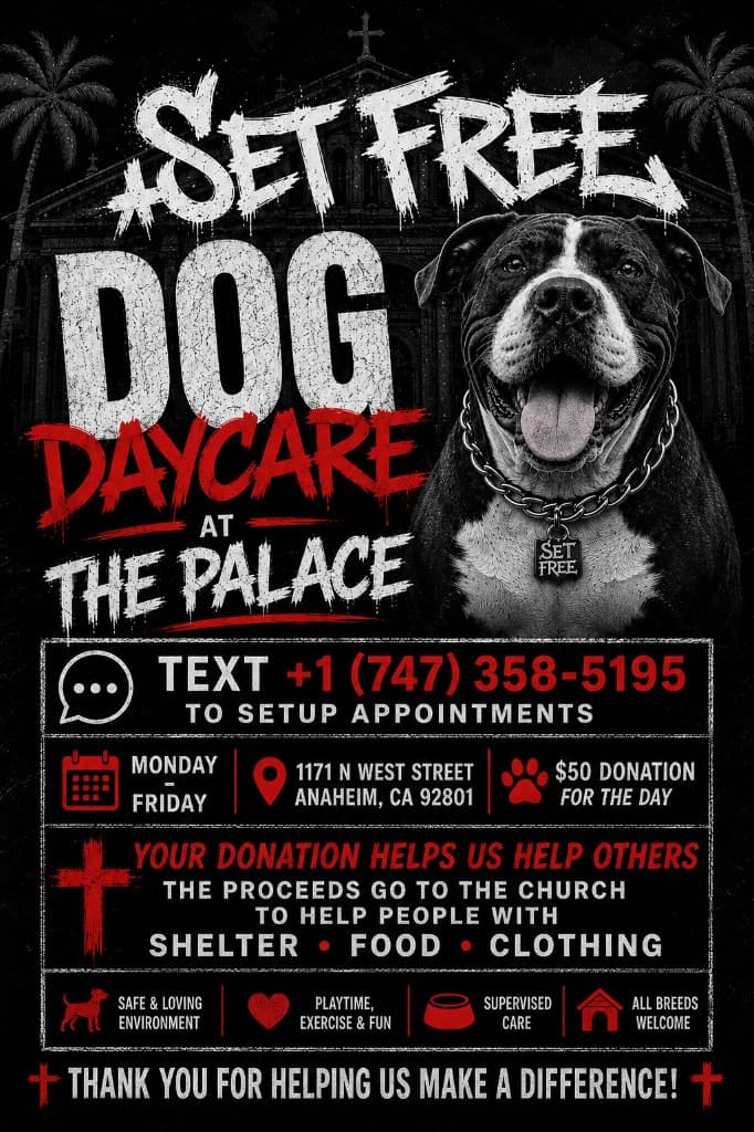 Set Free Palace Dog Daycare flyer